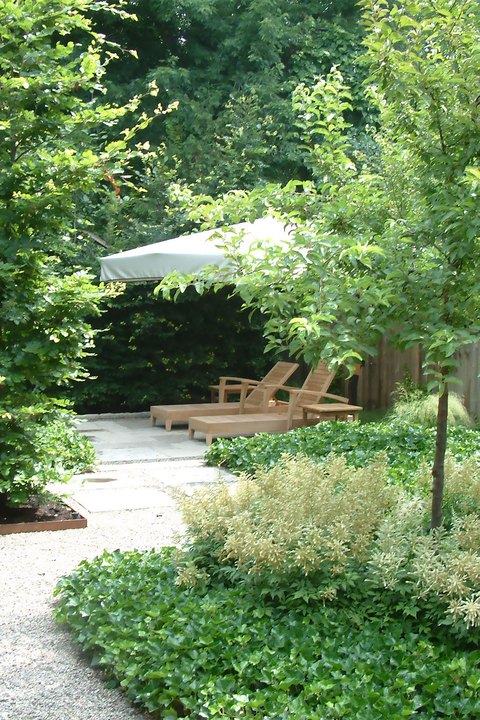 Arbordale Landscaping Ltd planting detail