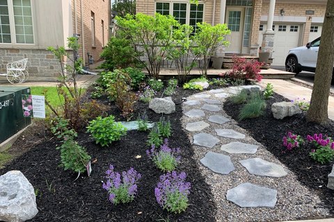Before and After — Gardens By Susie