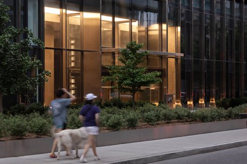Toronto House — Janet Rosenberg & Studio Inc.
