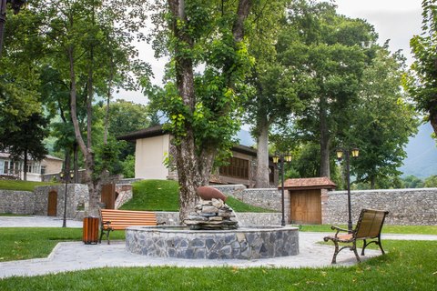 What Our Clients Say — Shades of Green Landscaping