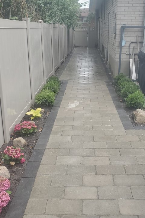 Toronto Property Solutions Ltd planting detail