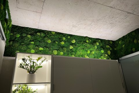personalized design & Premium workmanship — Vertical Landscape Architects